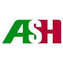 ash manpower international services|A.S.H. Manpower International Services Inc. .